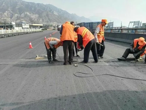 鄂温克道路桥梁病害治理